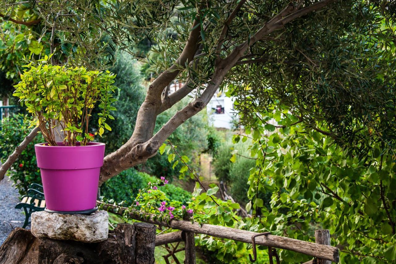Chic & Spacious House In Rodia Heraklion エクステリア 写真