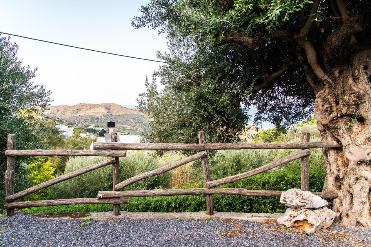 Chic & Spacious House In Rodia Heraklion エクステリア 写真