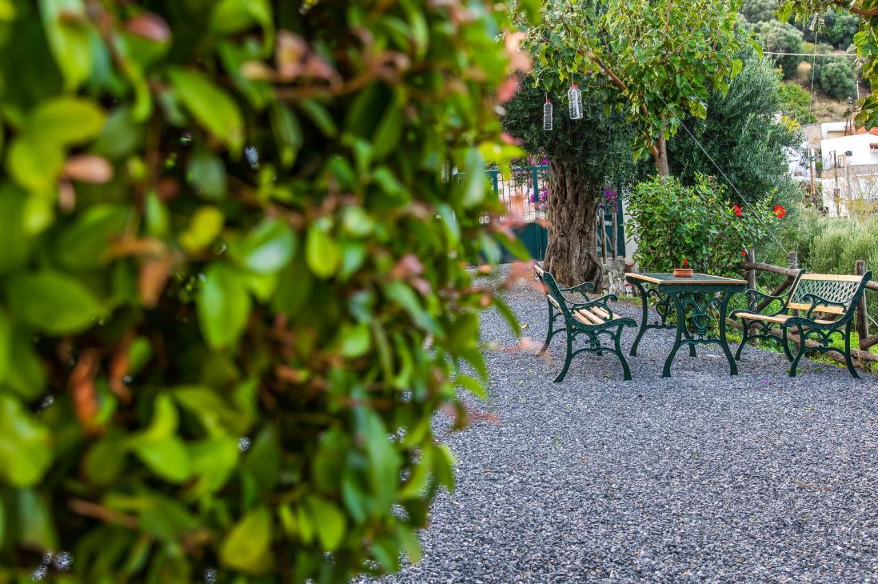 Chic & Spacious House In Rodia Heraklion エクステリア 写真